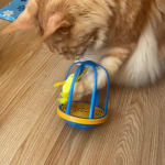 Ourpets bird in a cage 2025