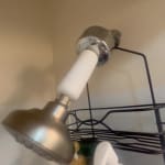 User submitted media 2 of 2