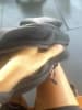 Zipper broken